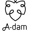 a dam
